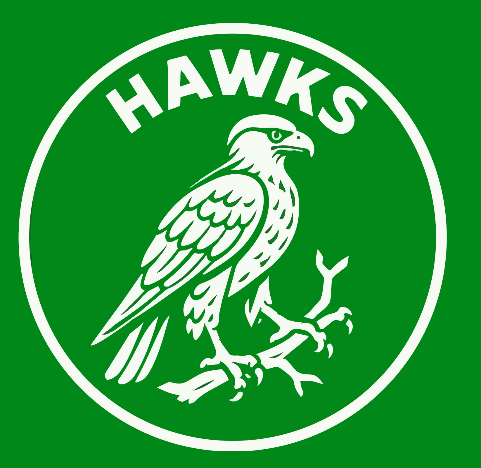 hawks